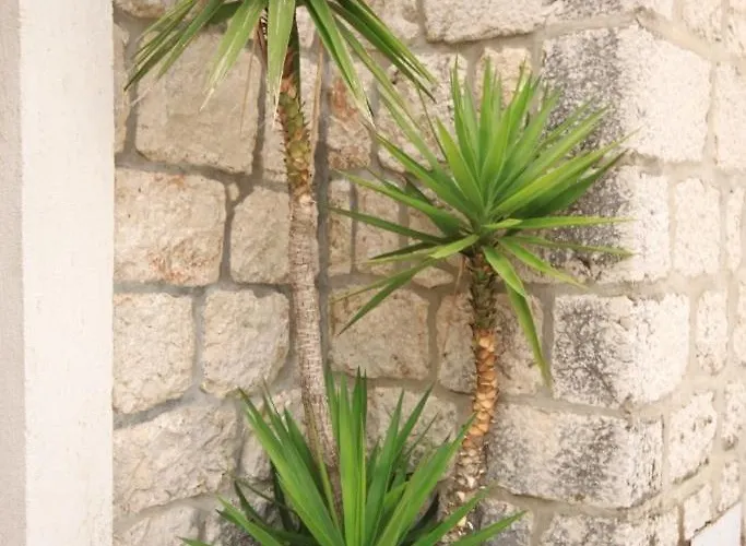 With A Parking Space Plat, Dubrovnik - 8612 Apartment
