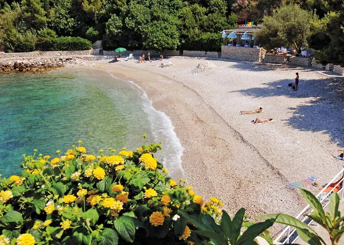 Apartment With A Parking Space Plat, Dubrovnik - 8612